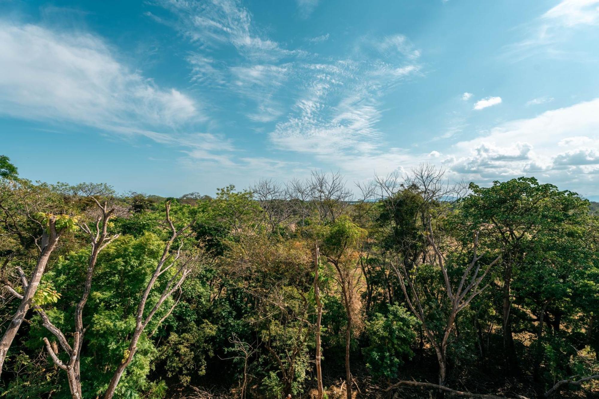 Alaya Yoga & Surf & Retreat Hotel Playa Venao Exterior foto